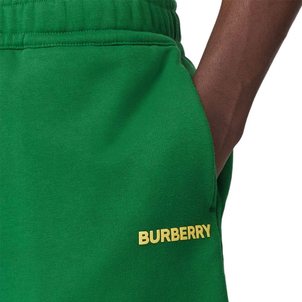 Шорты Burberry FW22 Logo - изображение 5