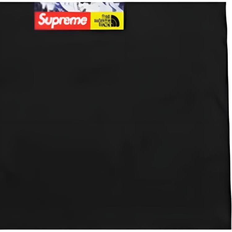 Футболка Supreme x The North Face FW17 Snow Mountain Tee Black - изображение 3