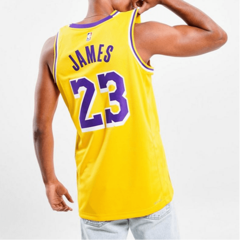 Баскетбольная майка Nike NBA Swingman 22-23 23 - изображение 4