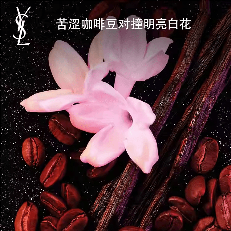 YSL B205g - изображение 4