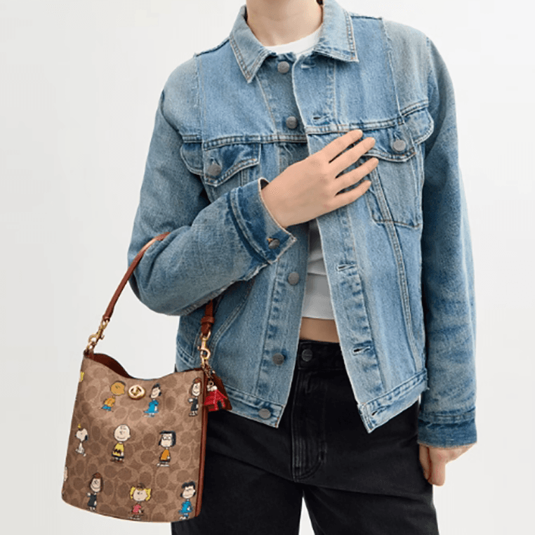 Сумка COACH PEANUTS Willow 21 - изображение 5