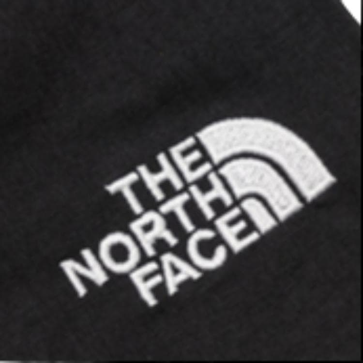 Шорты THE NORTH FACE - изображение 5