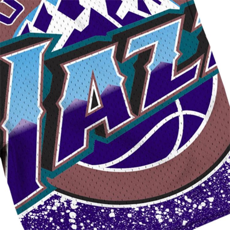 Баскетбольные шорты Mitchellness NBAlogo SW - изображение 3