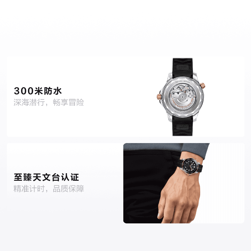 Часы Omega Seamaster 210.22.42.20.01.002 - изображение 2