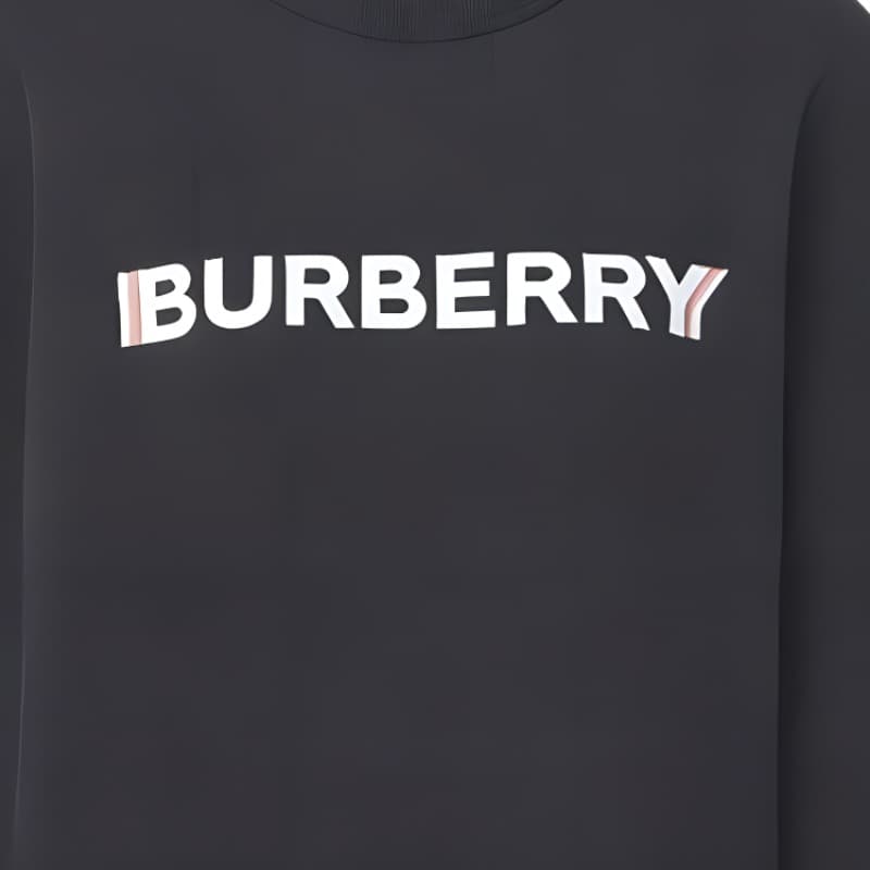 Худи Burberry SS23 — фото 13