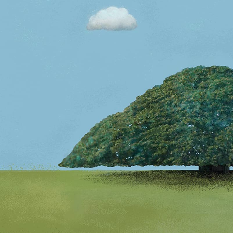 Постер 84*59cm - изображение 3