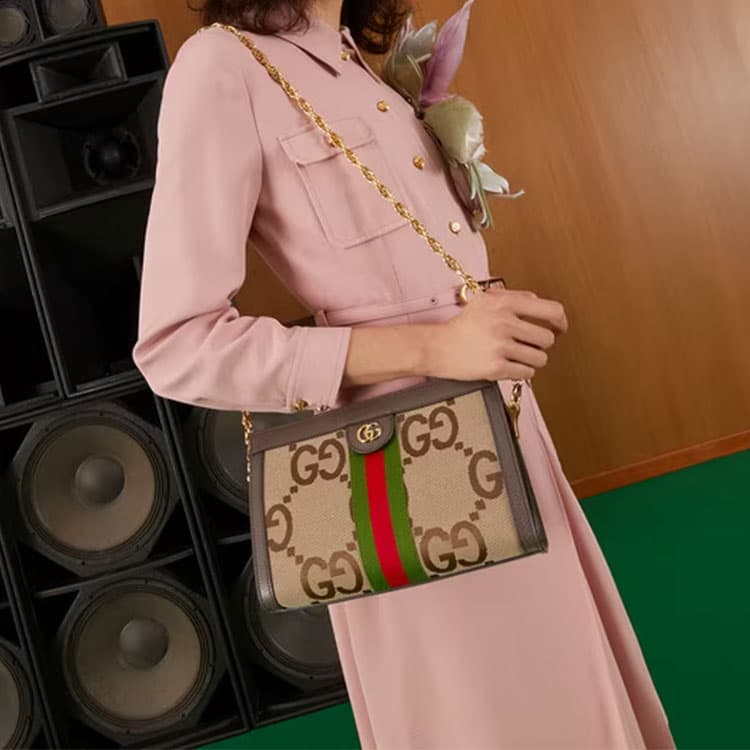 Сумка через плечо Gucci Ophidia Beige Brown - изображение 9
