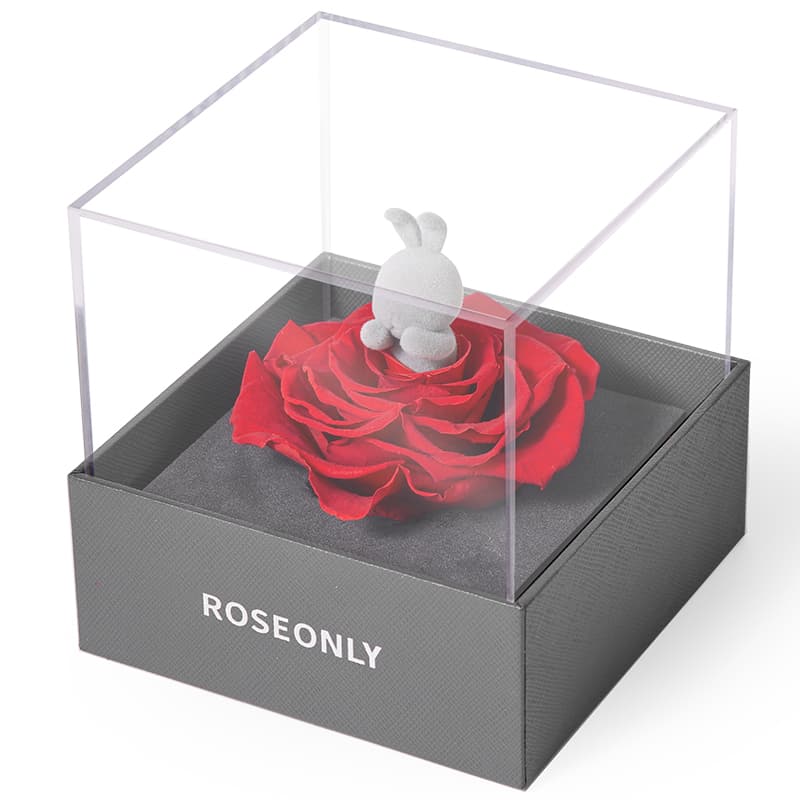 ROSEONLY - изображение 3