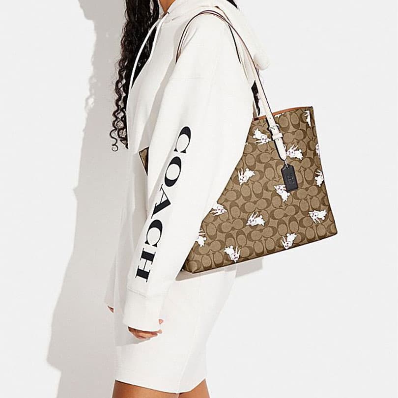 Мини-сумка COACH Mollie 34 - изображение 4