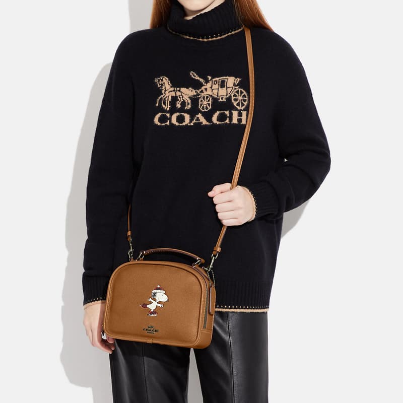 Сумка COACH x Peanuts Snoopy Lunch Pail 22 Brown - изображение 4