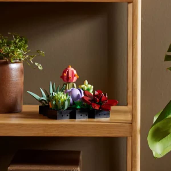 Конструктор LEGO Icons 10309 Succulent Bouquet - изображение 4