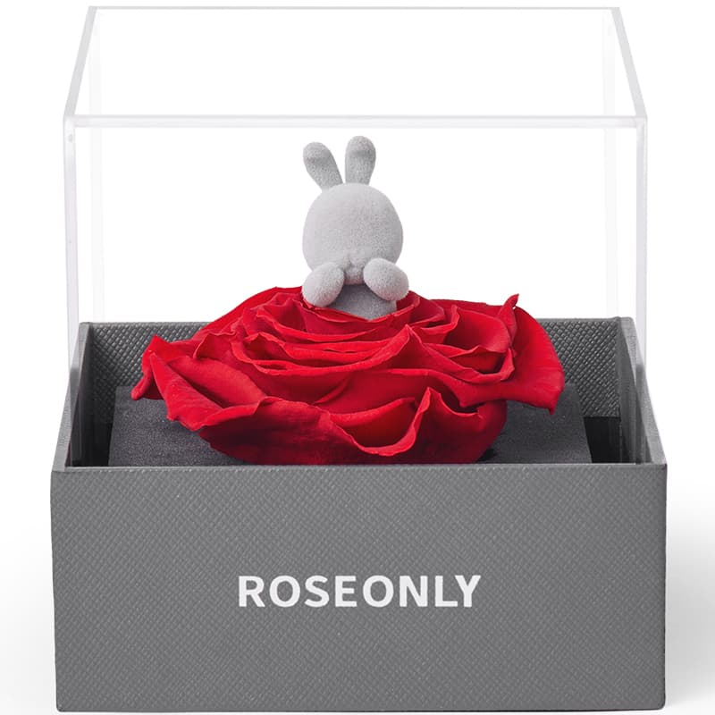 ROSEONLY - изображение 2