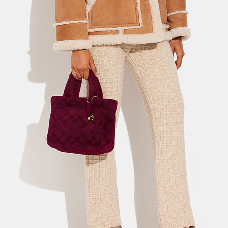 Сумка COACH Tote 22 - изображение 4