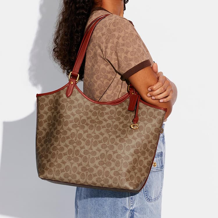Мини-сумка COACH Day 32 - изображение 6