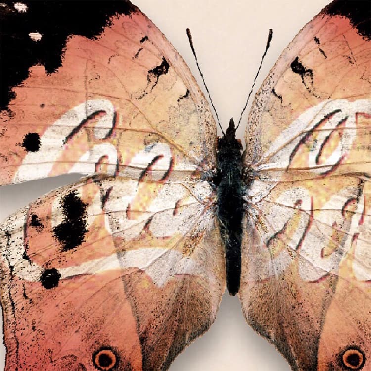 Постер (Pop Artist) -COKE 30*30cm - изображение 4