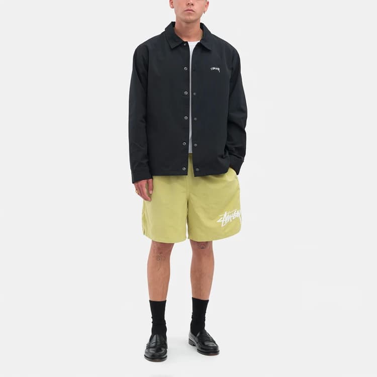 Шорты Stussy Logo Shorts - изображение 3