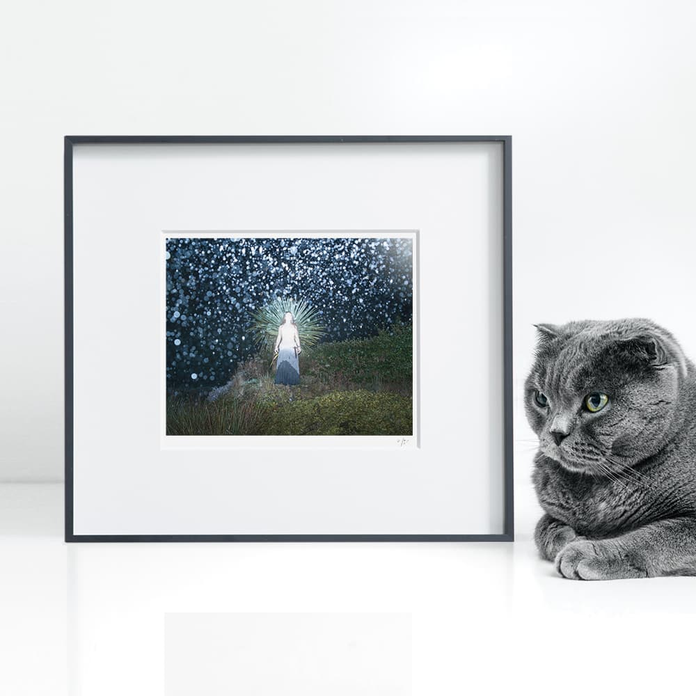 Benoit Paill 30*33cm - изображение 2