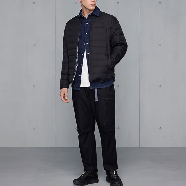 Зимняя куртка THE NORTH FACE Logo - изображение 4