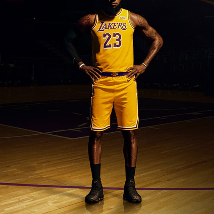 Баскетбольная майка Nike LeBron James 23 Lakers Fan Edition - изображение 2