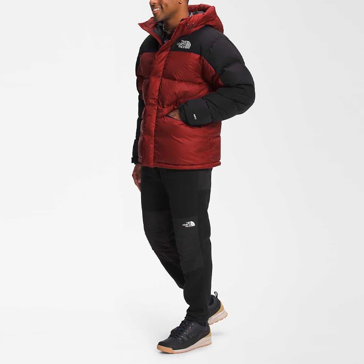 Зимняя куртка The North Face - изображение 4