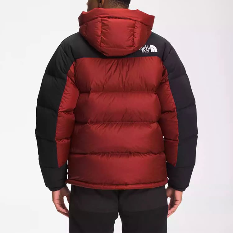 Зимняя куртка The North Face - изображение 3
