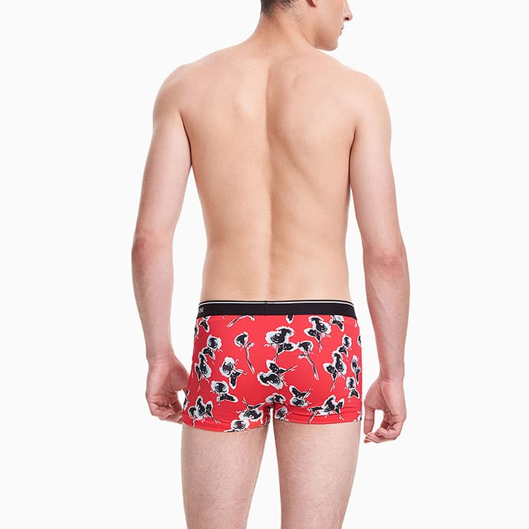 Трусы CKCalvin Klein - изображение 5