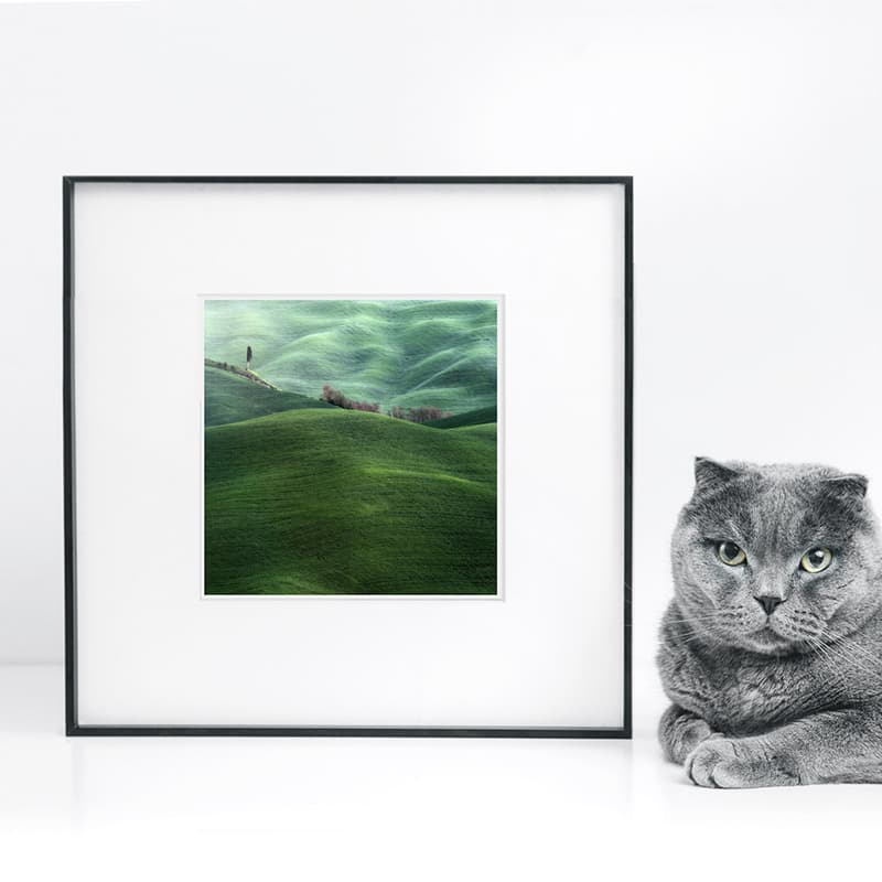 Marcin Sacha 5 33*33cm - изображение 2
