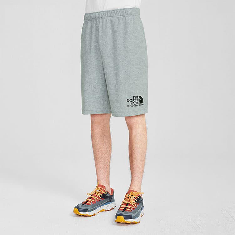 Шорты THE NORTH FACE Logo - изображение 6