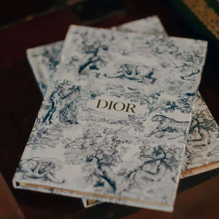 DIOR - изображение 3