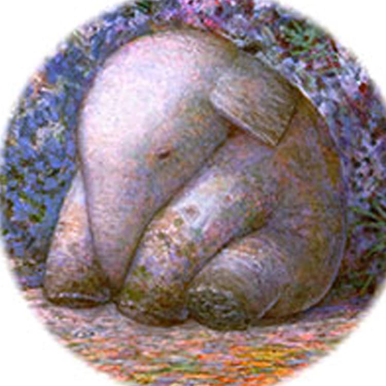 Постер 45*16cm - изображение 5