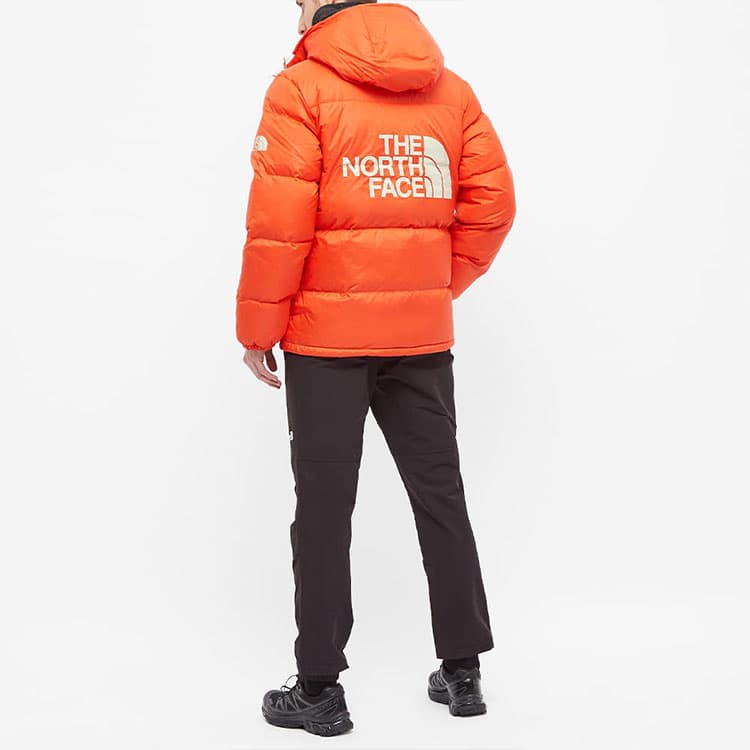 Зимняя куртка The North Face - изображение 3
