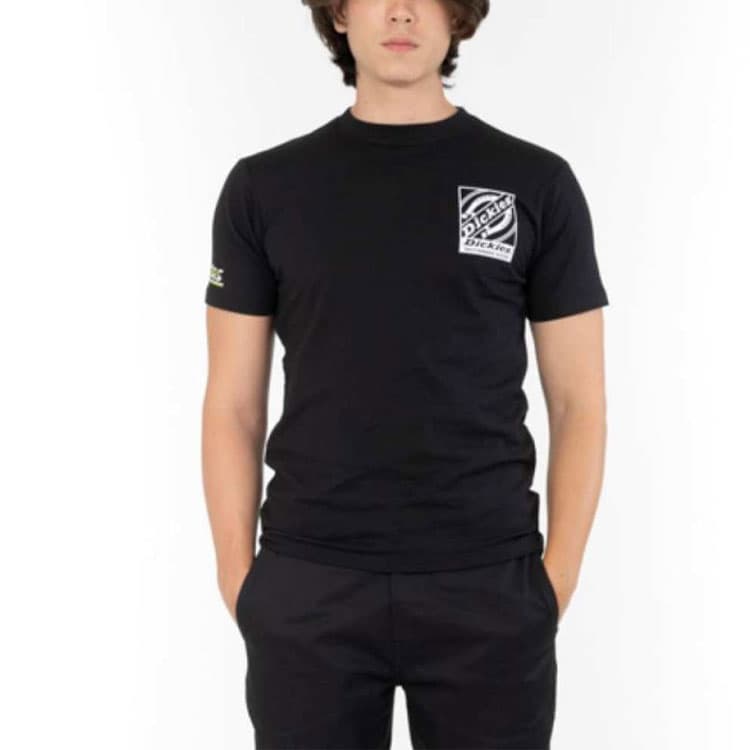 Футболка Dickies logoT - изображение 4