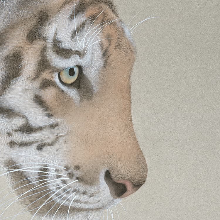 Постер 2 65*50cm - изображение 4