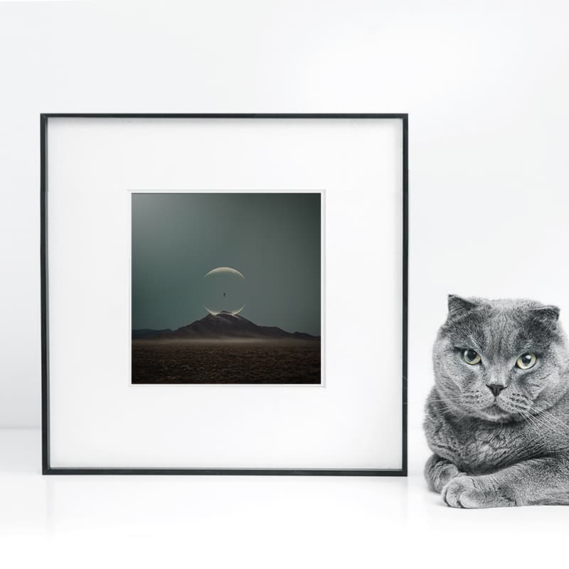 Hossein Zare 33*33cm - изображение 2