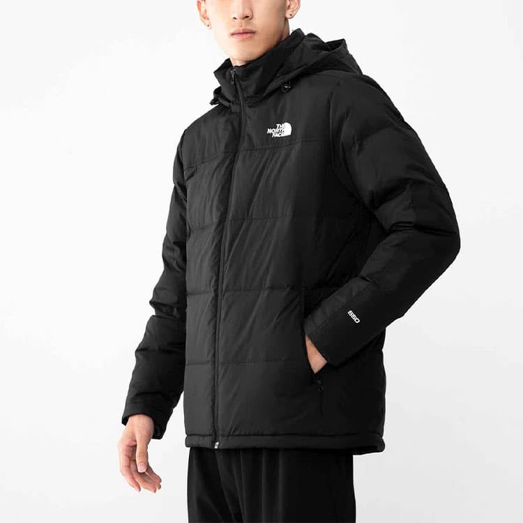 Зимняя куртка The North Face - изображение 2