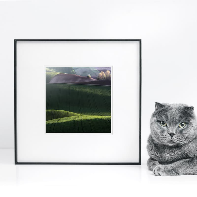 Marcin Sacha 4 33*33cm - изображение 2