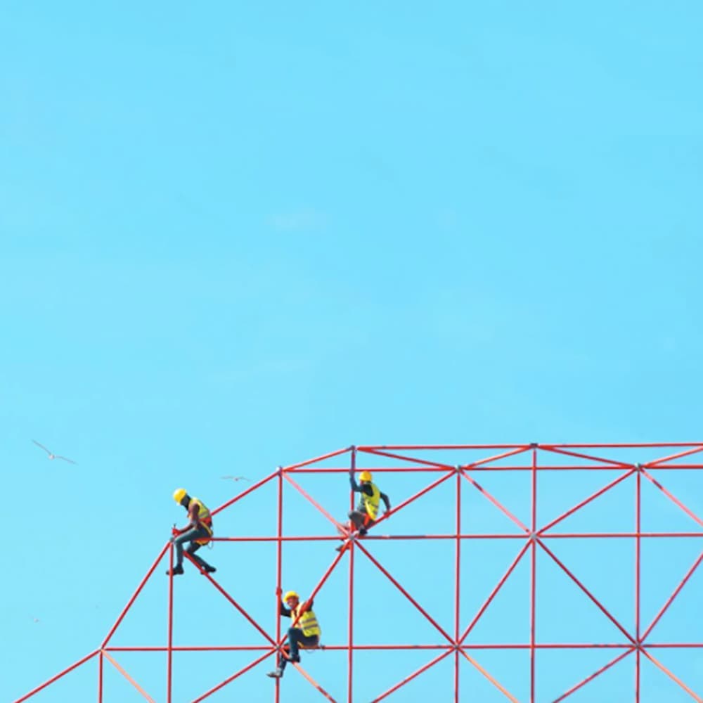 Yener Torun Prey 33*33cm - изображение 3