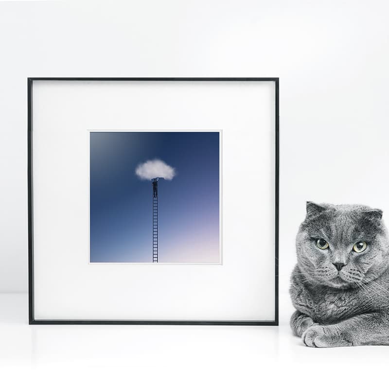 Hossein Zare50 33*33cm - изображение 2