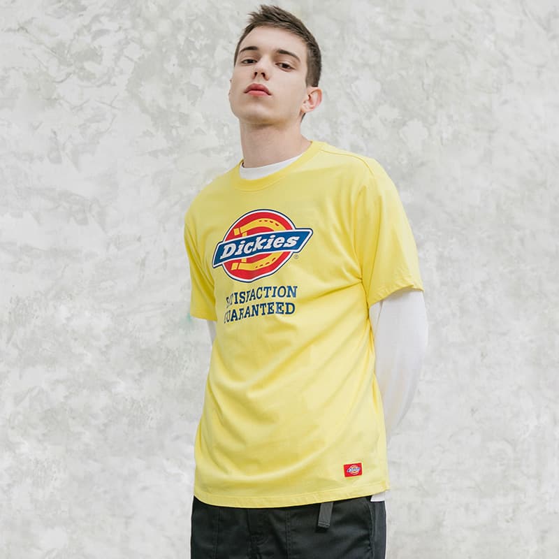 Футболка Dickies SS21 T - изображение 4