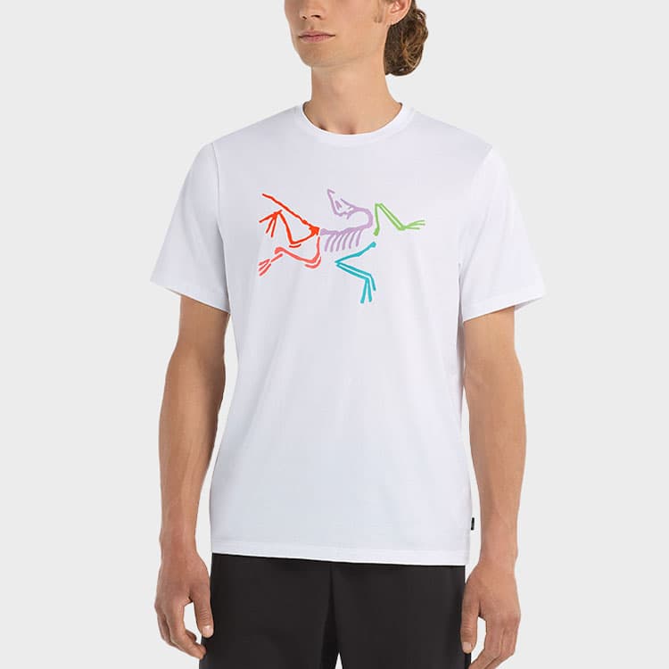 Футболка Arcteryx Archaeopteryx Polychrome LogoT - изображение 2
