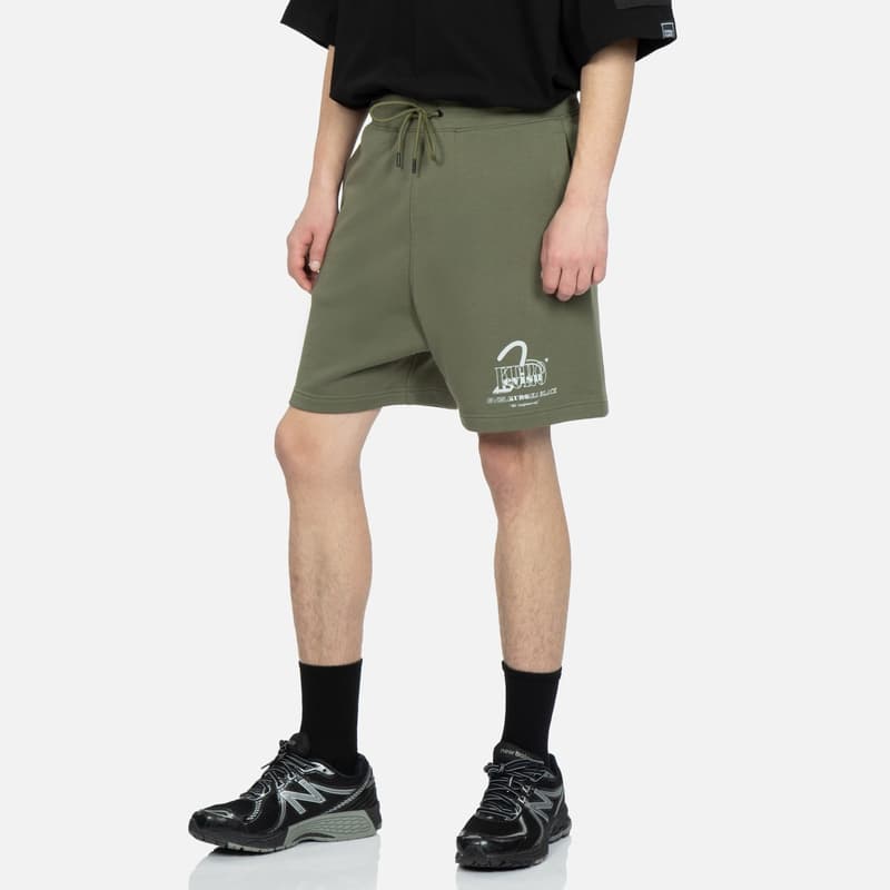 Тренировочные штаны EVISU Seagull Logo Print Shorts - изображение 3