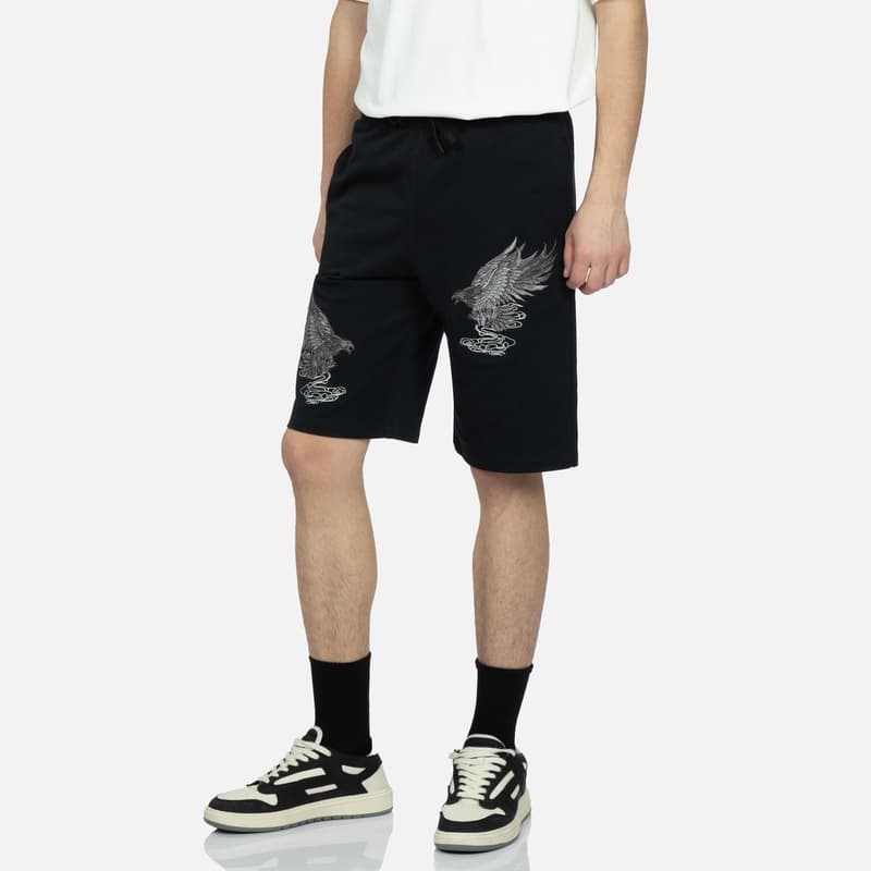 Тренировочные штаны EVISU - изображение 3