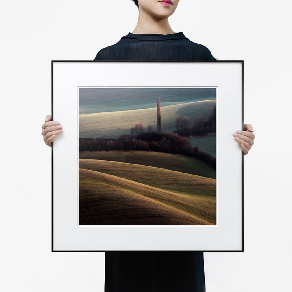 Marcin Sacha 6 57*57cm - изображение 2