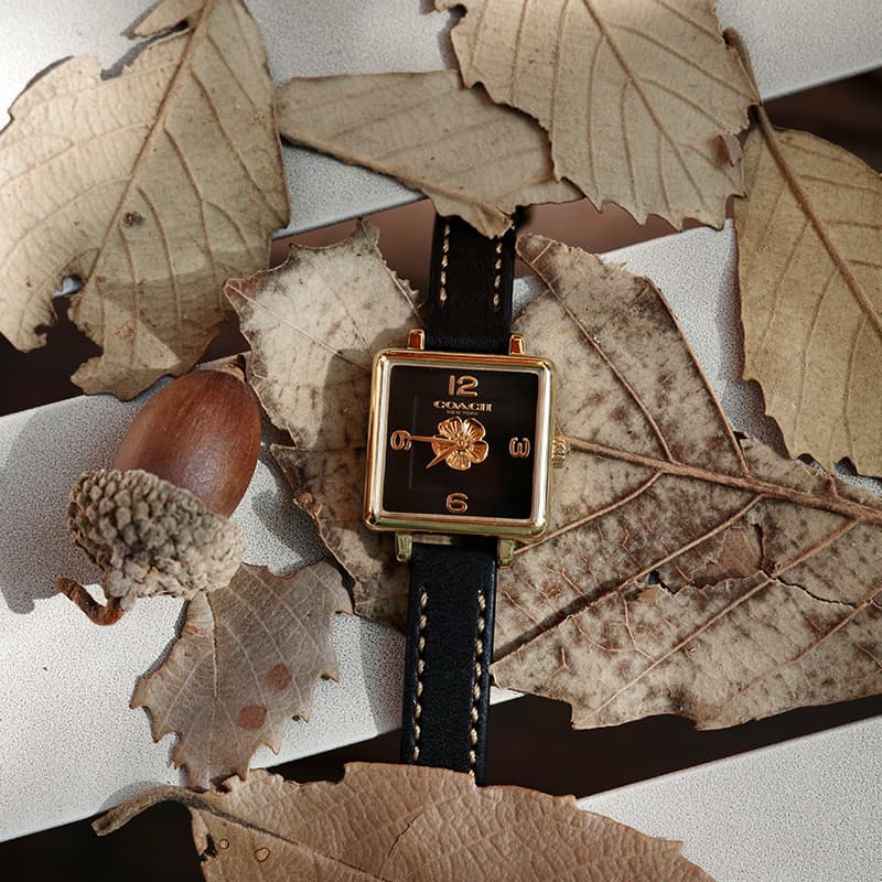 Механические часы COACH Cass Watch 14503695 - изображение 9