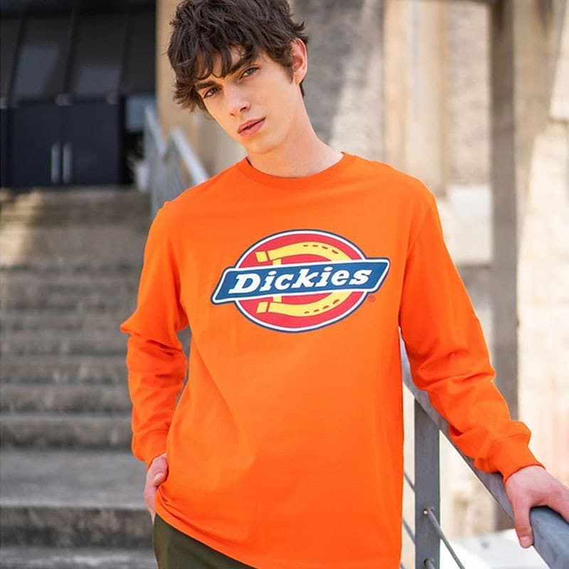Худи Dickies FW22 logo - изображение 2