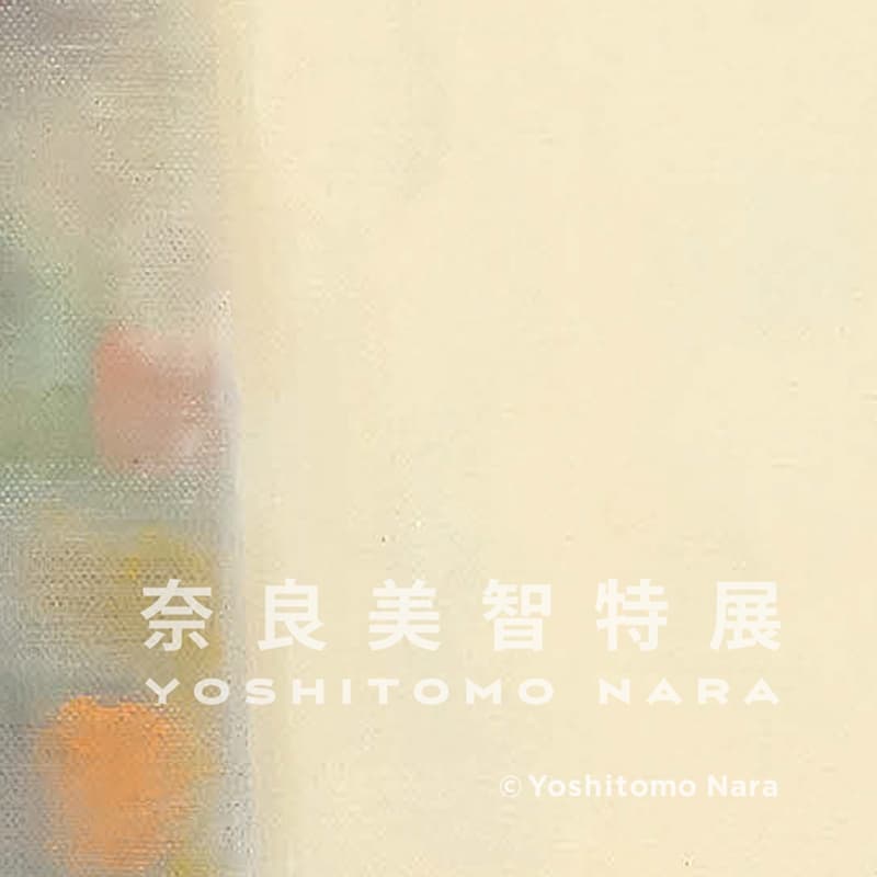 Yoshitomo Nara Slight Fever 110*112cm - изображение 5