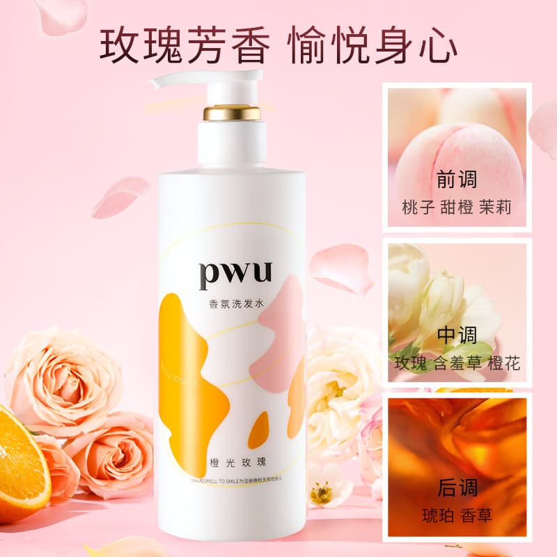 PWU - изображение 5