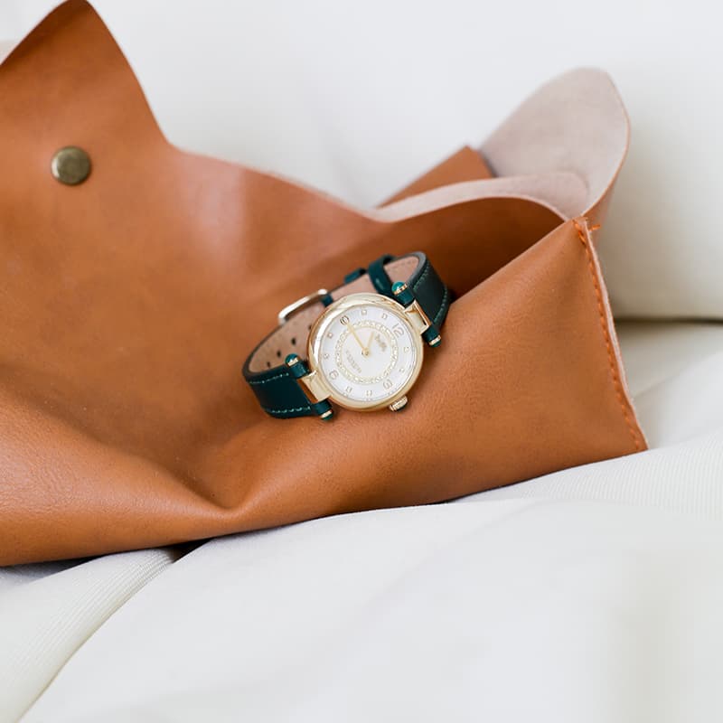 Механические часы COACH Cary 14503894 - изображение 10
