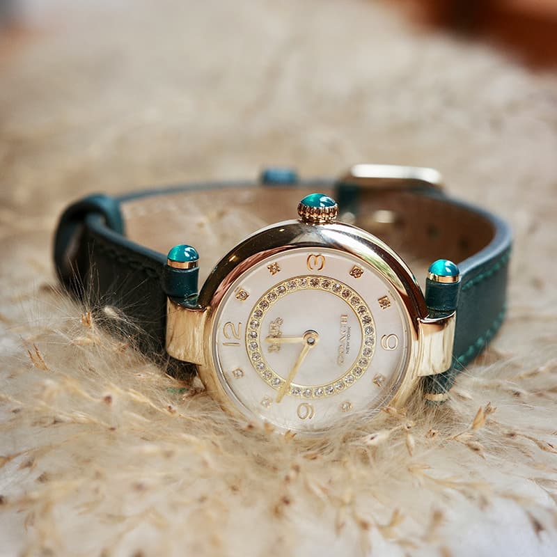 Механические часы COACH Cary 14503894 - изображение 12