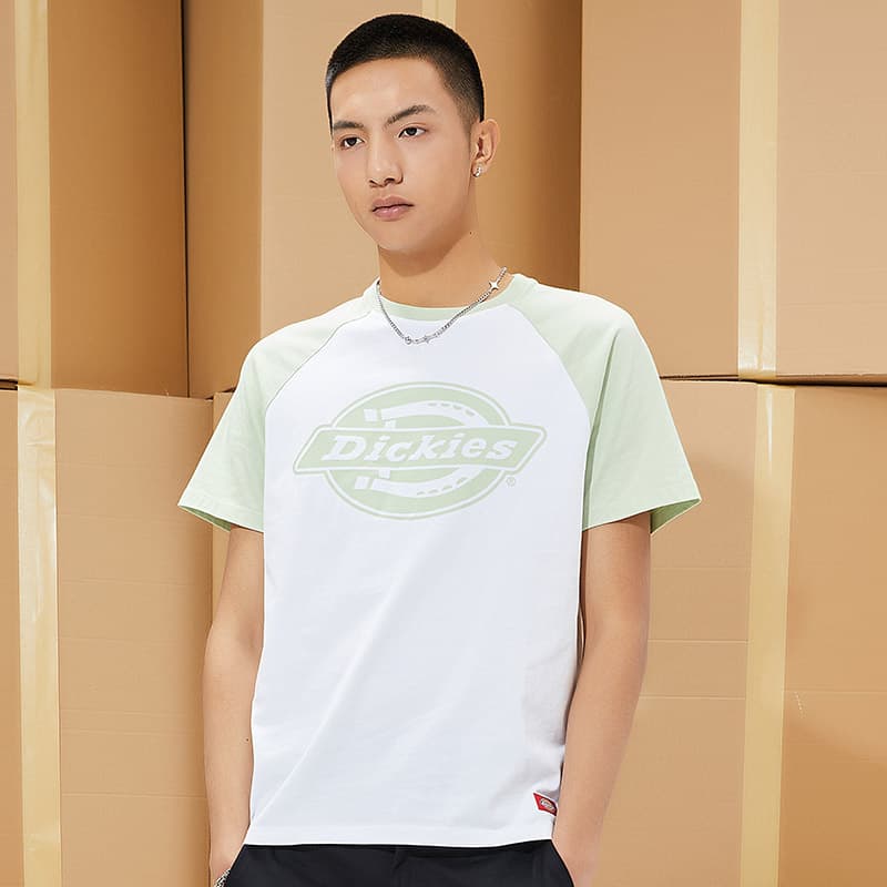Футболка Dickies SS21 logoT - изображение 3